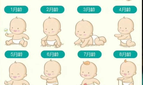 葵花小儿化痰止咳口服液-葵花小儿化痰止咳颗使用效果网 - 为你提供小葵花小儿化咳痰口服液、小葵花小儿化痰止咳颗粒用量
